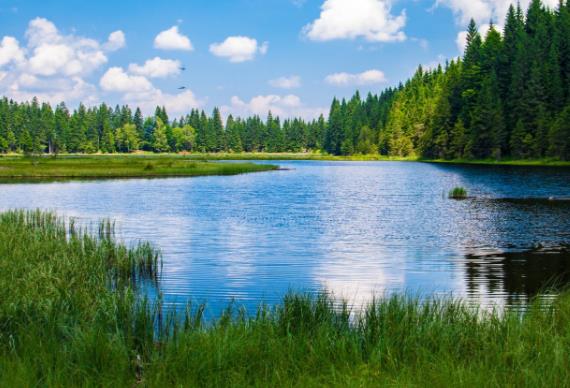 火電廠外排的高鹽廢水危害幾監測問題 火電廠外排的高鹽廢水危害幾監測問題